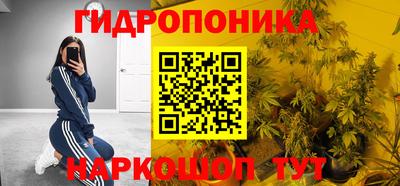 мяу мяу мука Кунгур